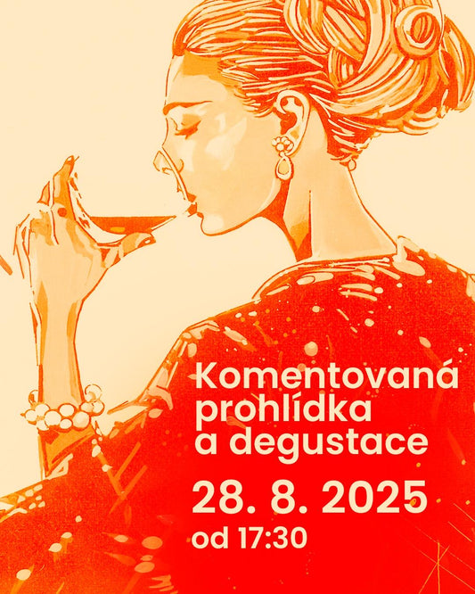 Degustace vín s Patrikem Saudkem!